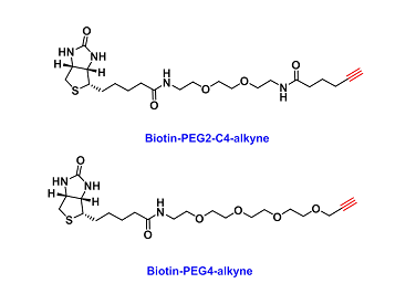 齐岳生物提供几百种生物素(Biotin)标记蛋白、药物、多糖、多肽定制合成服务