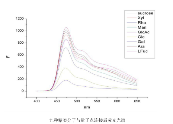 提供量子点表面修饰分子偶联药物小分子/抗体/糖类/叶酸的定制服务