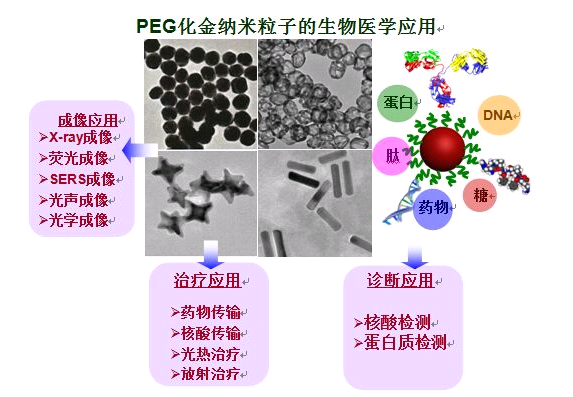 PEG化纳米金/纳米金棒/磁性纳米颗粒的定制服务