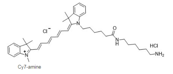 Cy7 amine