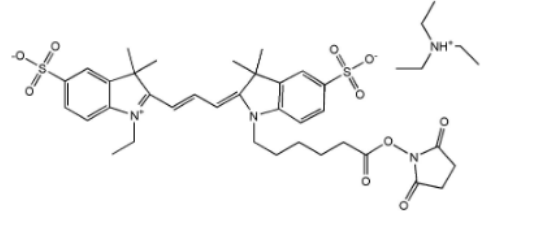 Cy3-NHS,Cy3-N-羟基琥珀酰亚胺酯,Cyanine3 NHS ester 荧光染料