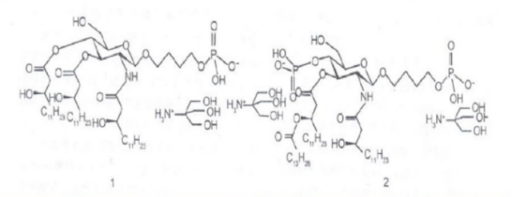 常见多种单糖及其衍生物的化学修饰位点