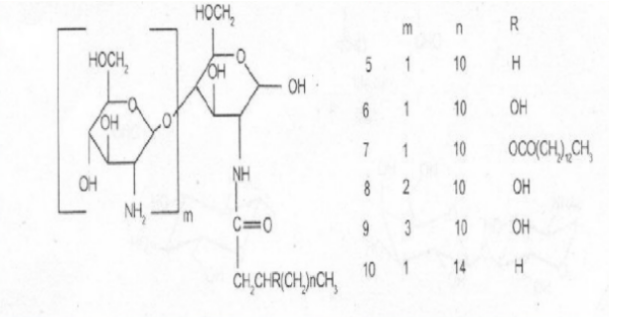 常见多种单糖及其衍生物的化学修饰位点