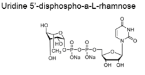 UDP糖 CAS:1526988-33-9 UDP-L-Rha 尿苷5′-二磷酸-a-L-鼠李糖二钠盐 UDP-鼠李糖