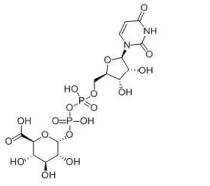 UDP糖 UDP-6-N3-Glu，cas：63700-19-6，尿苷二磷酸-6-叠氮-葡萄糖