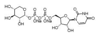 UDP糖 cas: 108320-89-4 UDP-D-木糖，尿苷二磷酸木糖，UDP-xylose