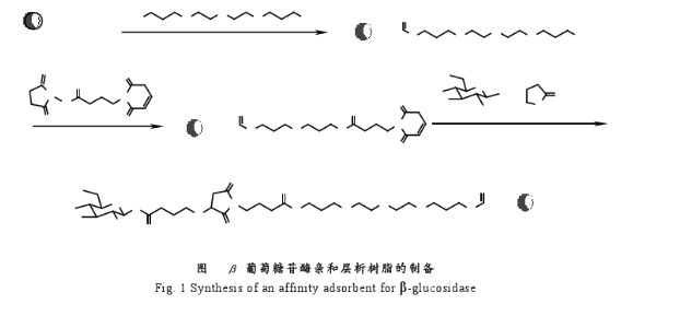 β葡萄糖苷酶亲和层析树脂的制备