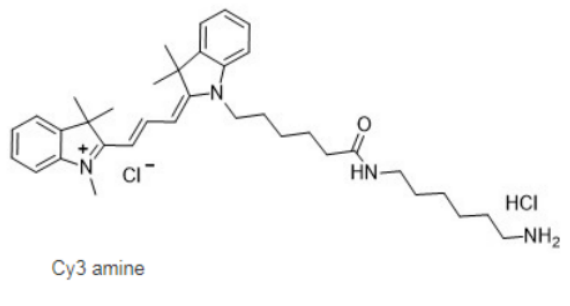 Cy3 amine