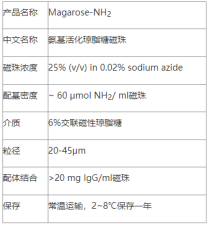 氨基琼脂糖磁珠