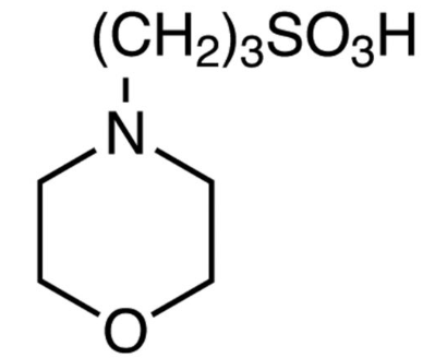 3-吗啉丙磺酸(MOPS)