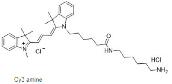 Cy3 amine