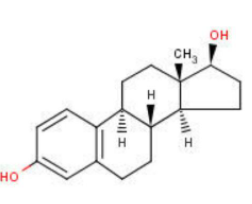 Estrogen