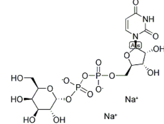 UDP-半乳糖，CAS号：2956-16-3，UDP-GAL