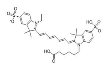 Cy7近红外荧光染料,CAS:943298-08-6 用于标记蛋白、多肽、抗体及Oligo