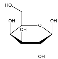 半乳糖galactose