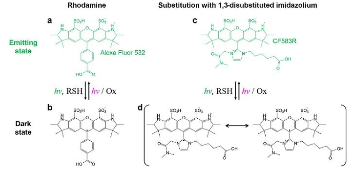 高性能超分辨单分子染料:1,3双取代咪唑鎓取代罗丹明