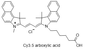 Cy3.5 carboxylic acid