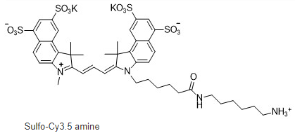 Sulfo-Cyanine3.5 amine