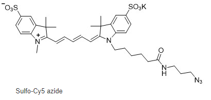 Sulfo-Cyanine5 azide