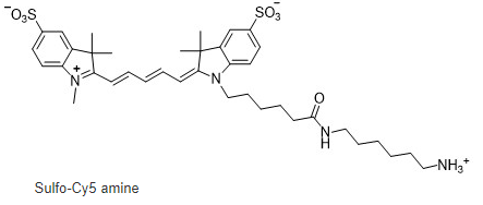 Sulfo-Cyanine5 amine