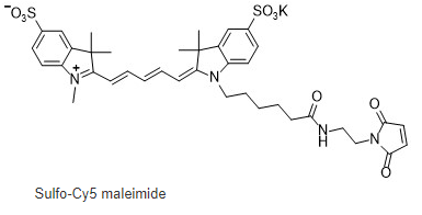 Sulfo-Cyanine5 maleimide