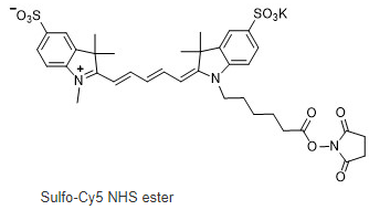 Sulfo-Cyanine5 NHS ester 