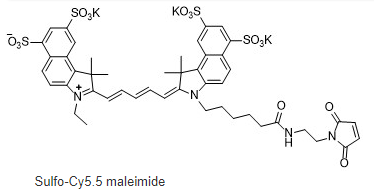 Sulfo-Cyanine5.5 maleimide