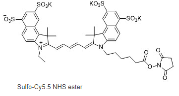 Sulfo-Cyanine5.5 NHS ester