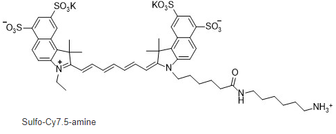 sulfo-Cyanine7.5 amine