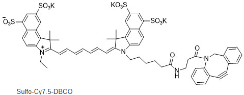 水溶性Sulfo-Cy7.5 DBCO