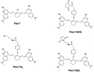 Flav7-NHS ester