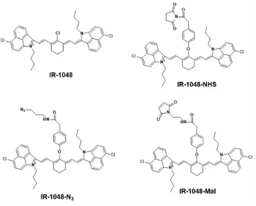 IR-1048-NHS ester