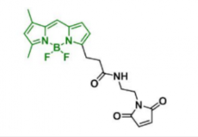 BDP FL Maleimide