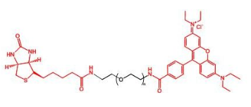 	RB-PEG-BIOTIN 