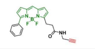 BDP R6G alkyne