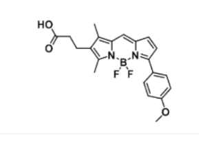 BDP TMR carboxylic acid