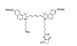 三磺酸基Cy5.5 活性酯