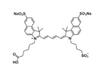 triSulfo-Cy5.5 carboxylic acid