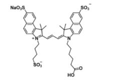 三磺酸基Cy3.5-羧基