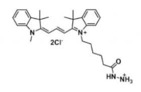 Cy3 hydrazide