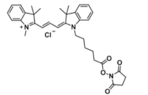 Cyanine3 NHS ester(Methyl)