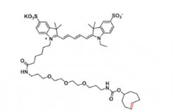 Sulfo Cy5-TCO