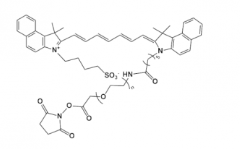 ICG-PEG-NHS