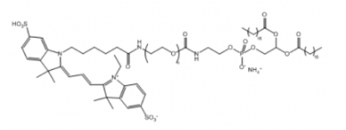 Cy3-PEG-DSPE