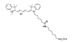 Cy5-胺