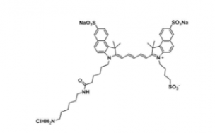 Cy5.5 amine