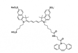 Cy5.5 DBCO