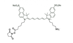 disulfo-ICG NHS Ester/水溶性ICG NHS Ester