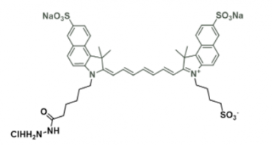 diSulfo-ICG Hydrazide 水溶性吲哚菁绿-酰肼