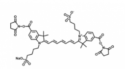 水溶性吲哚菁绿-活性酯(Bis）